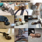 Tiragraffi Interattivo per Gatti -  Pieghevole, Multifunzione con Palla