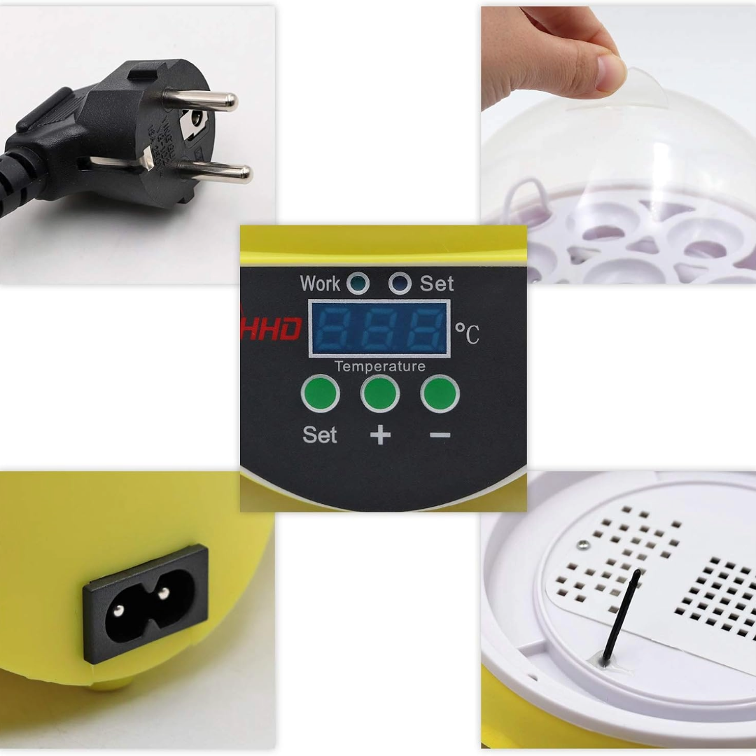 Incubatrice Digitale 7 Uova per Polli e Uccelli con Touch Screen e LED