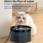 Fontanella per Gatti e Cani 2L, Silenziosa con Sistema di Filtraggio Triplo e Luce LED, Adatta a Più Animali Domestici