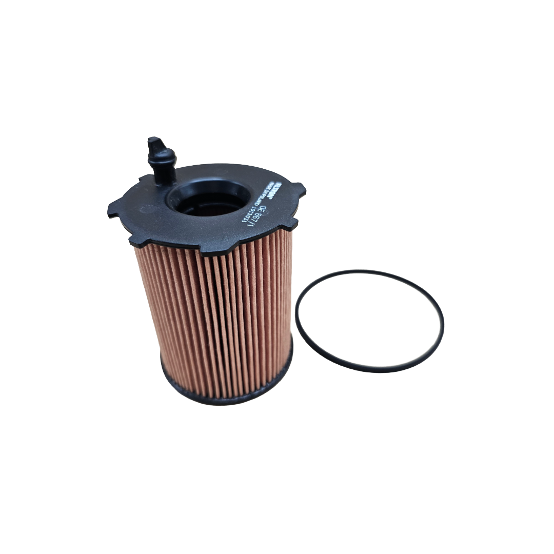 Filtro Olio Filtron OE 667/1 – Ricambio Originale Alta Qualità – Nuovo con Guarnizione