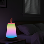 Lampada da Comodino LED con Controllo Touch e Illuminazione Regolabile