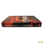 Pompei L'incubo e il risveglio Libro di Angelo Petrella ed. Rizzoli (usato)