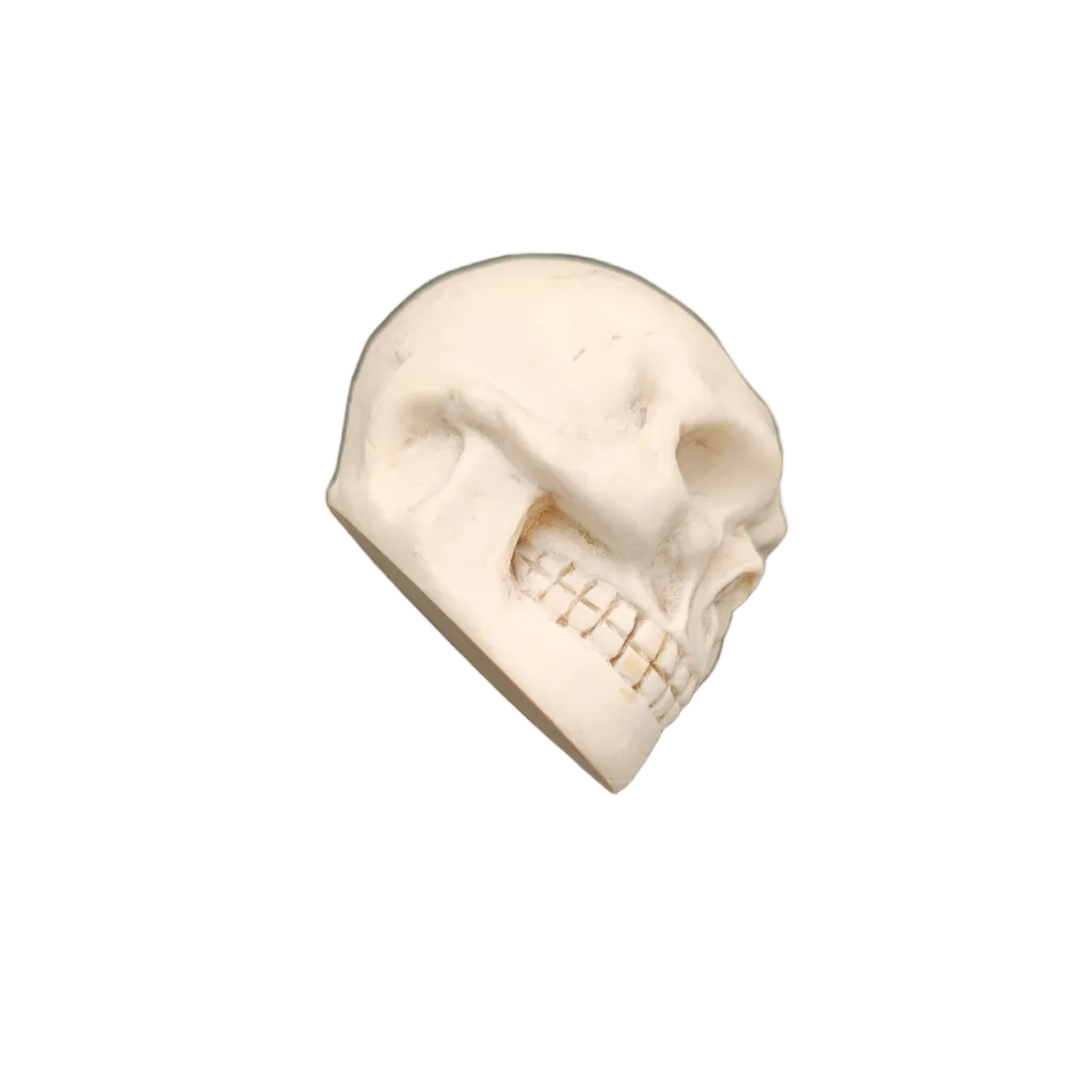 Posacenere Teschio Realistico in Resina - Portapenne e Decorazione Gothic
