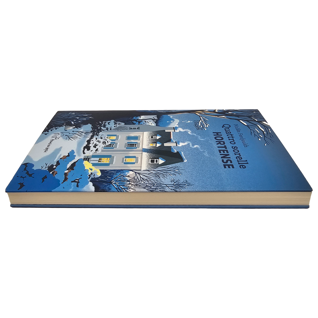 Libro "Quattro sorelle - Hortense" Malika Ferdjoukh - Pension Lepic