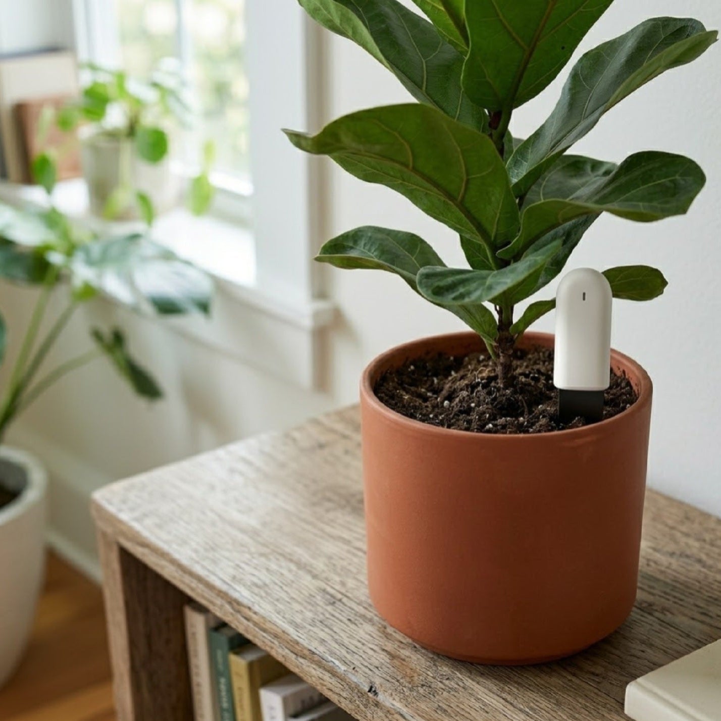 Sensore Piante Smart 4-in-1 Bluetooth Monitor Umidità e Fertilità
